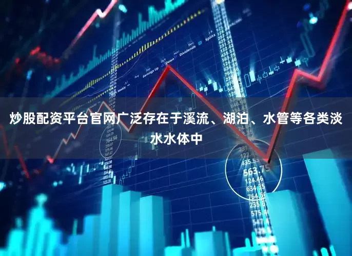 炒股配资平台官网广泛存在于溪流、湖泊、水管等各类淡水水体中